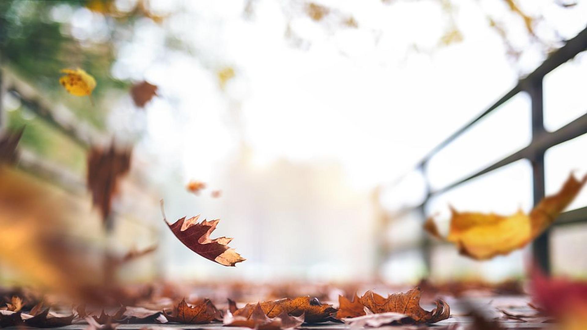 Днес ще е облачно и от запад на изток ще