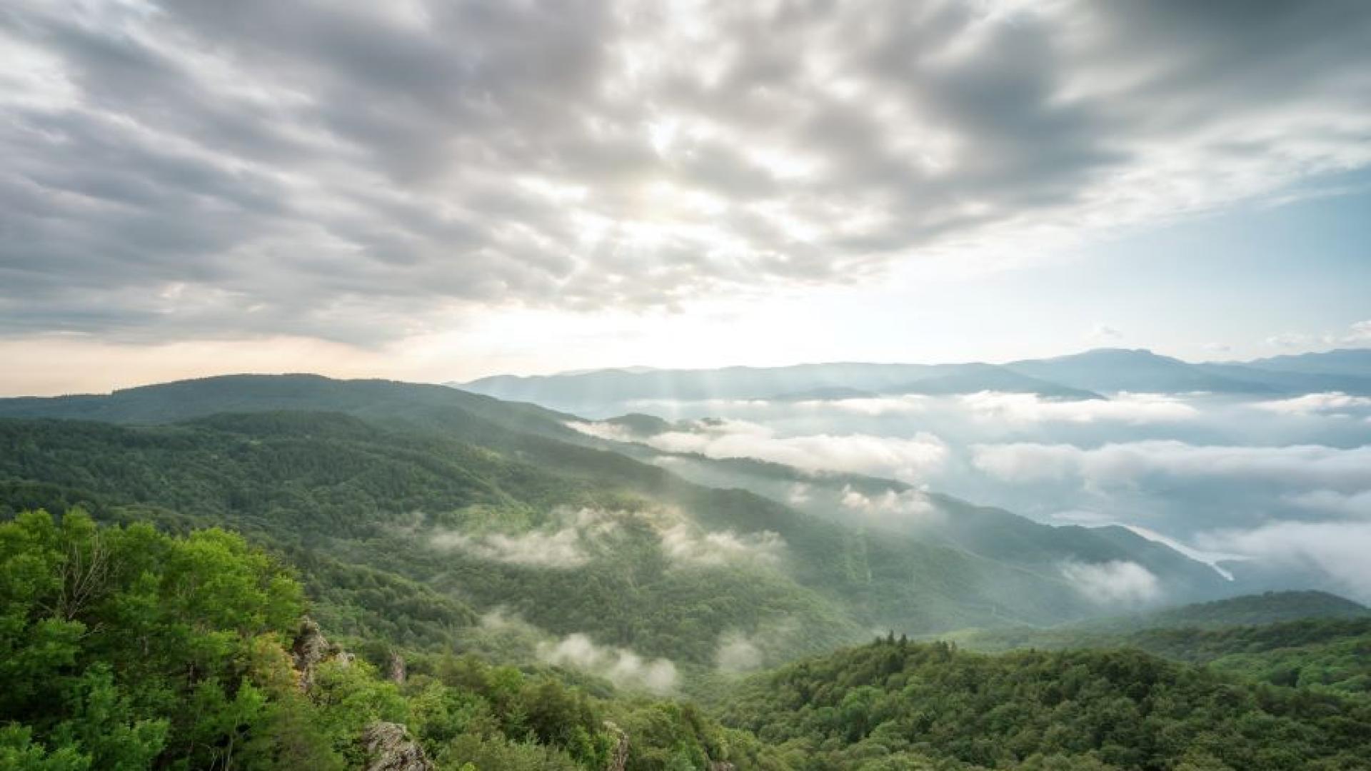 Най ниските температури през март у нас ще са между минус