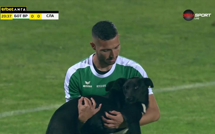 Куриоз! Куче реши да гледа сблъсък от efbet Лига отблизо (видео)