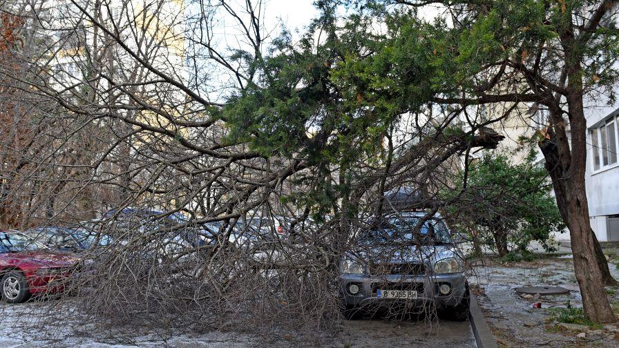 След ураганните ветрове: Каква е обстановката в страната