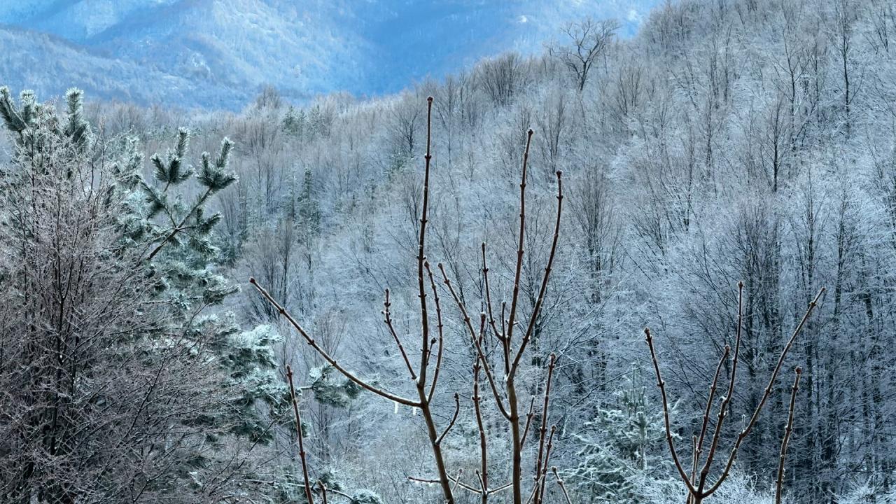 Дъжд и сняг в края на ноември