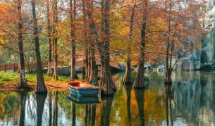 Сряда със слънце до 17 градуса, но идват мъгли и студ