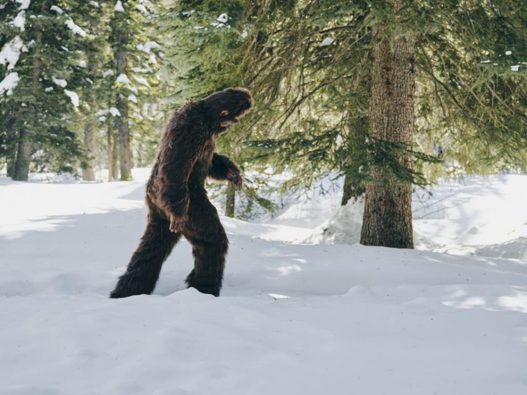 Двама мъже загинаха в окръг Скамания Вашингтон докато издирваха Голямата