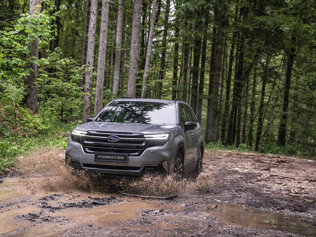 Новият Forester солиден, способен и донякъде скучен, но това го казвам във възможно най-добрия смисъл на думата, обяснявам. Освен това първите ще могат да се възползват и от много „дебела“ ценова отстъпка