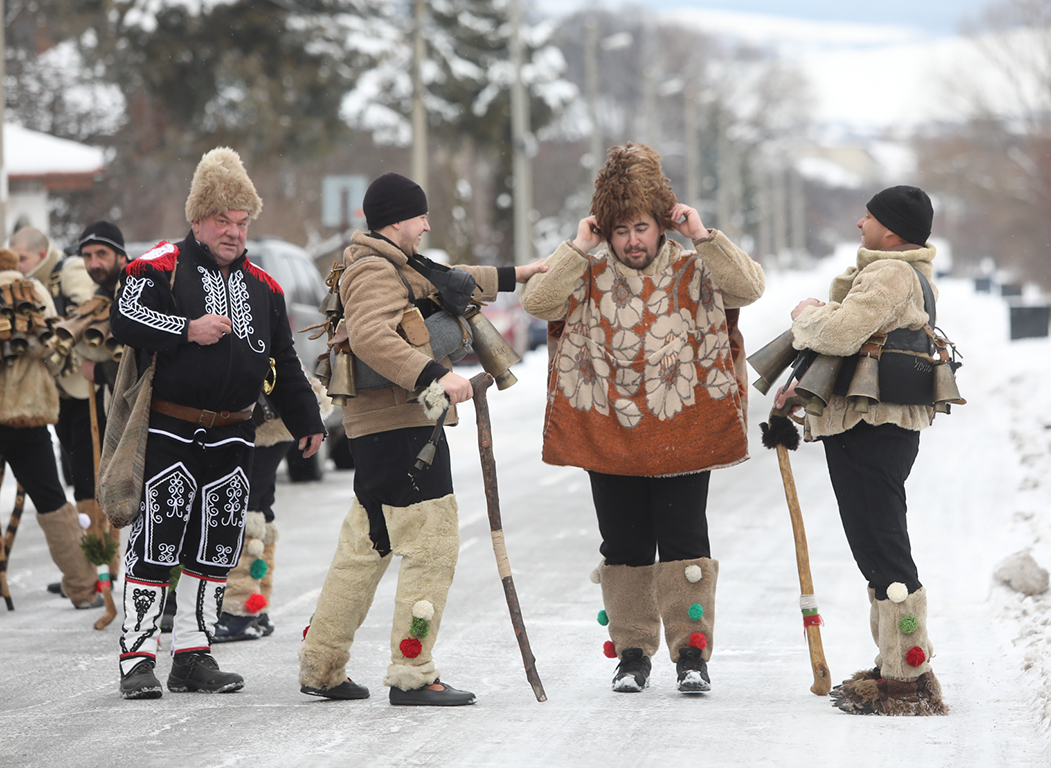 <p>Местна Сурова в село Кралев дол</p>