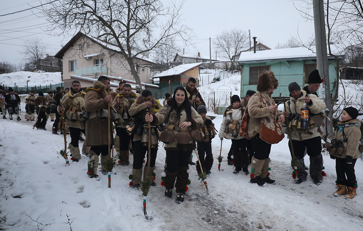 <p>Местна Сурова в село Кралев дол</p>