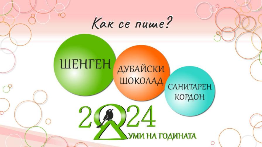 <p>Кои са думите на 2024 година в България?</p>