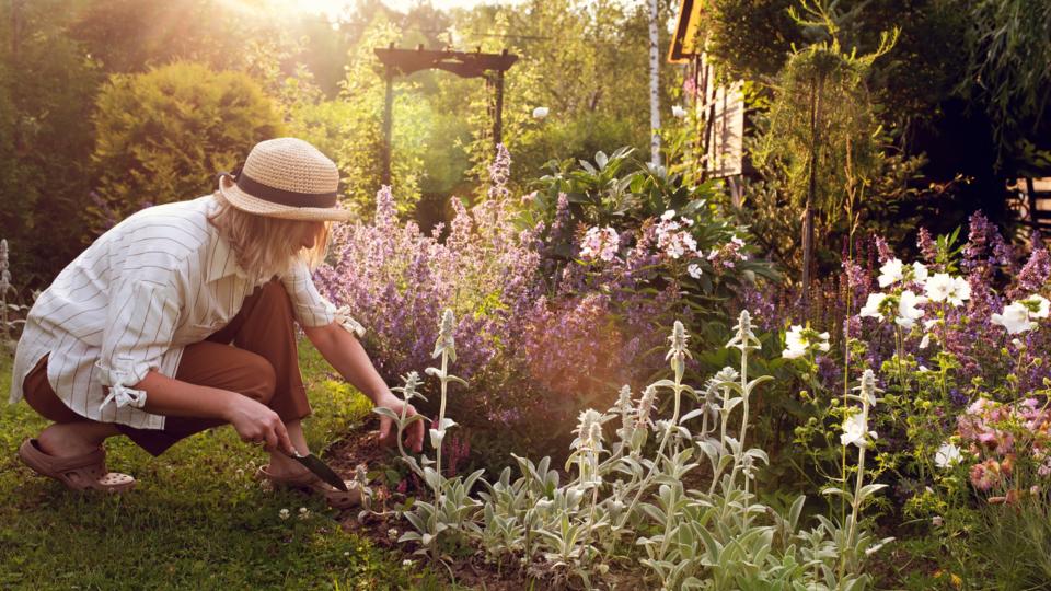 Можете ли да си представите да живеете без пари? Без