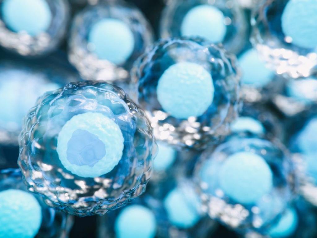 Тайланд и Грузия обявиха че разследват група за трафик на