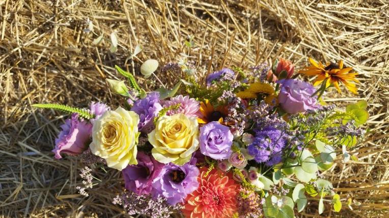  Когато работата ти е предопределение: Красотите на Ива Николова 