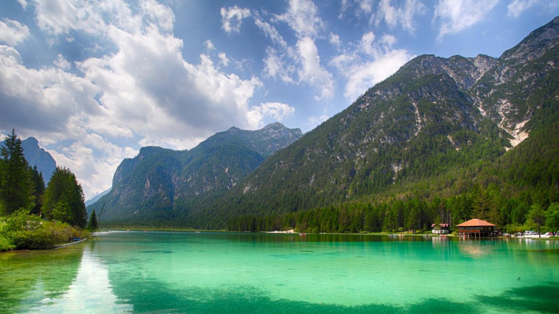 Дълбоко в Националния парк Езерата Нелсън на Южния остров в