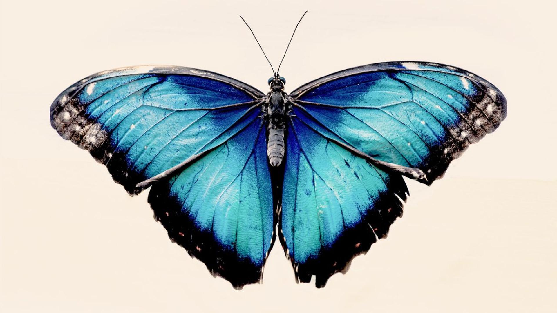 Момче на 14 години почина след като се инжектира със