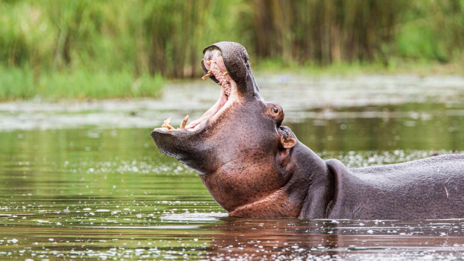 Когато мислим за смъртта на исторически личности обикновено се сещаме