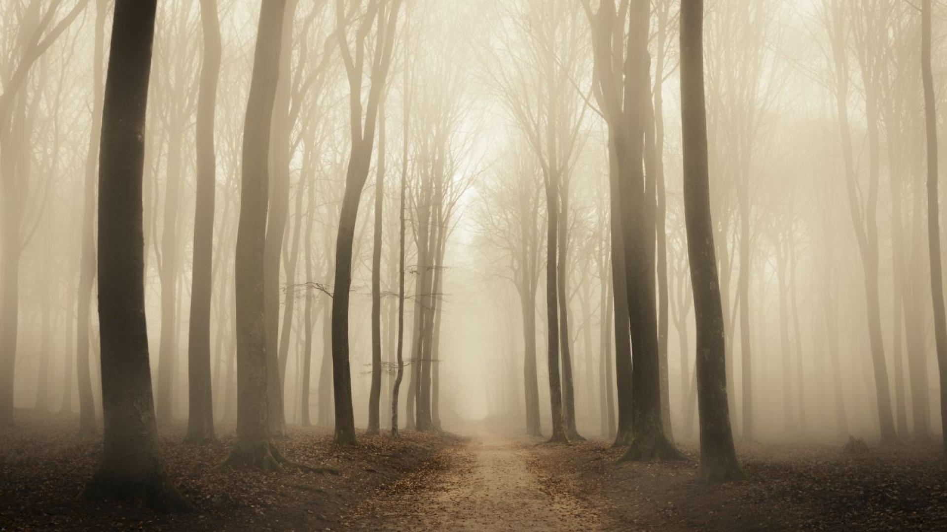 Жена обявена за изчезнала от семейството си в Тексас е