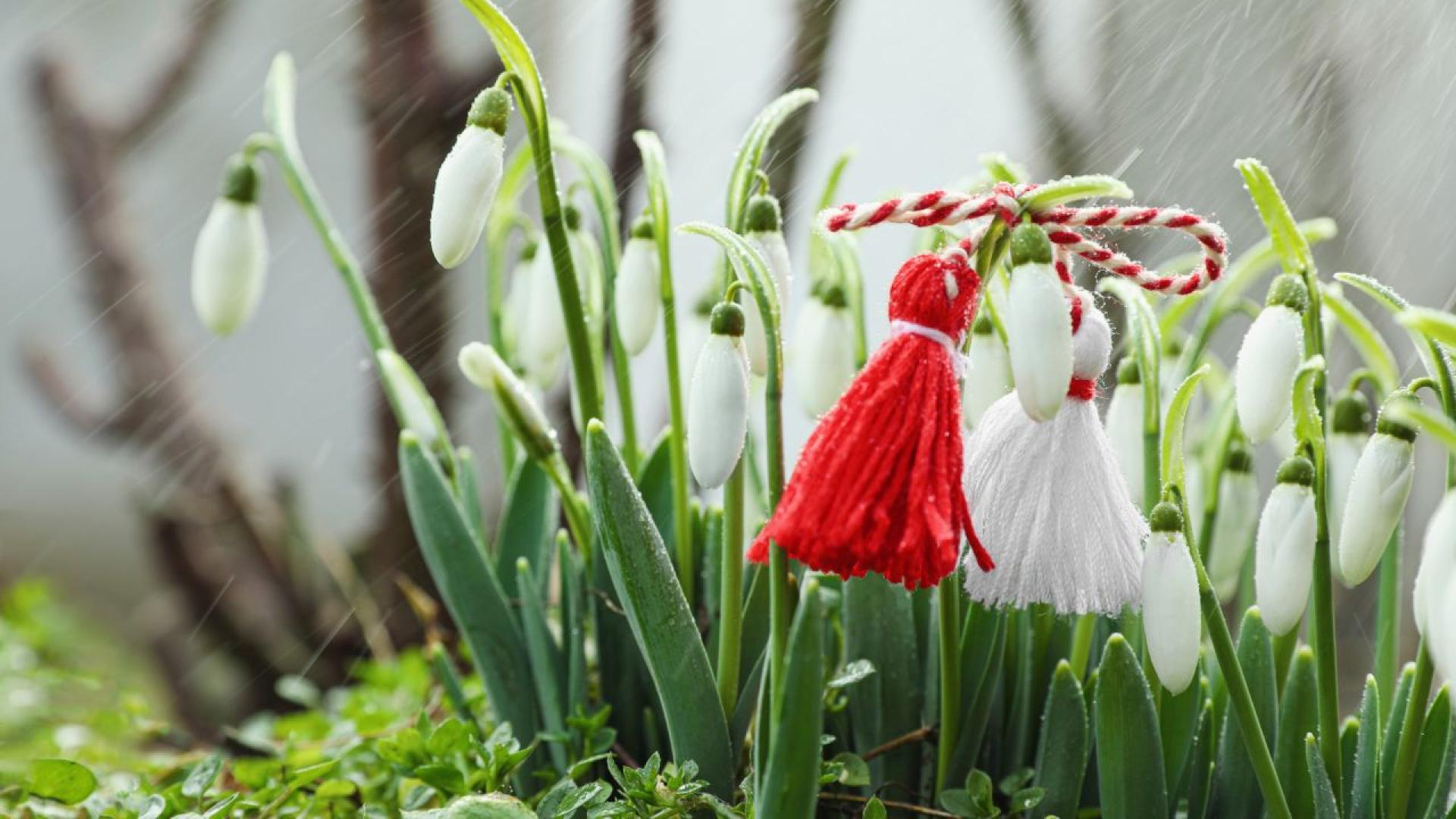 През следващото денонощие времето ще бъде облачно След полунощ с