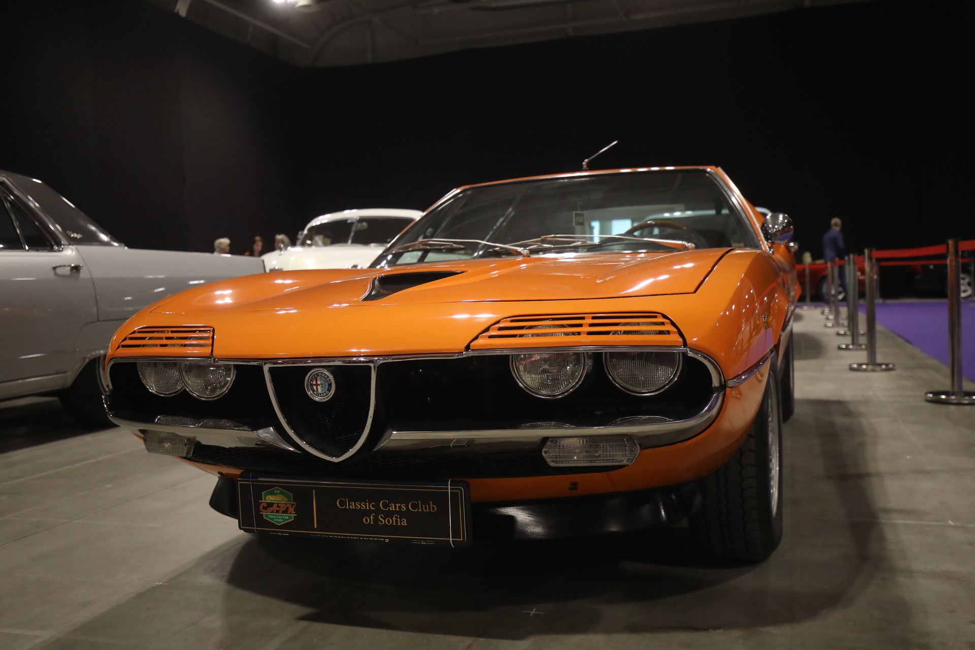 <p>Изложение на ретро автомобили в "Интер Експо Център" София&nbsp;</p>