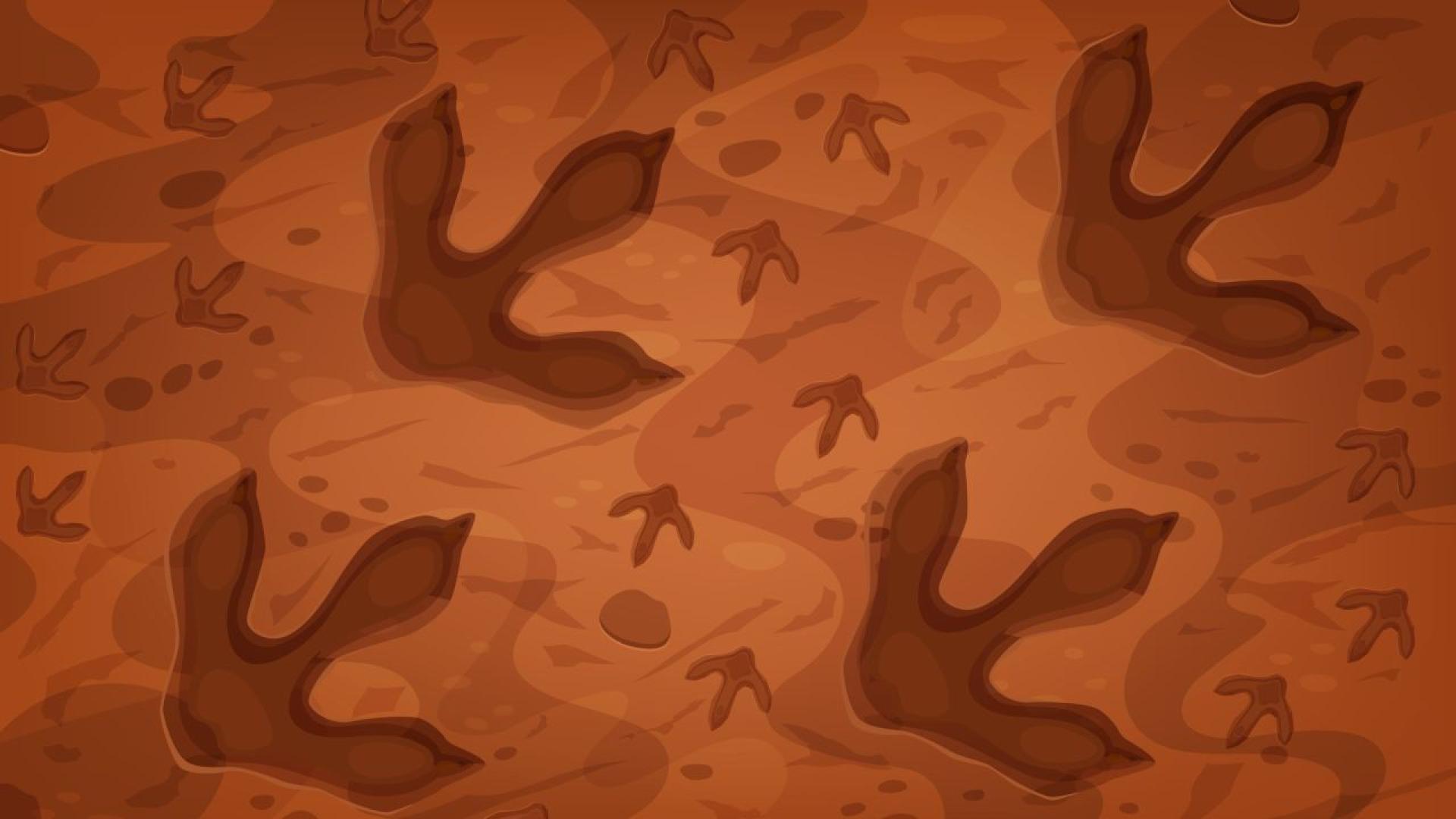 Върху скална плоча събираща прах в австралийско училище са открити