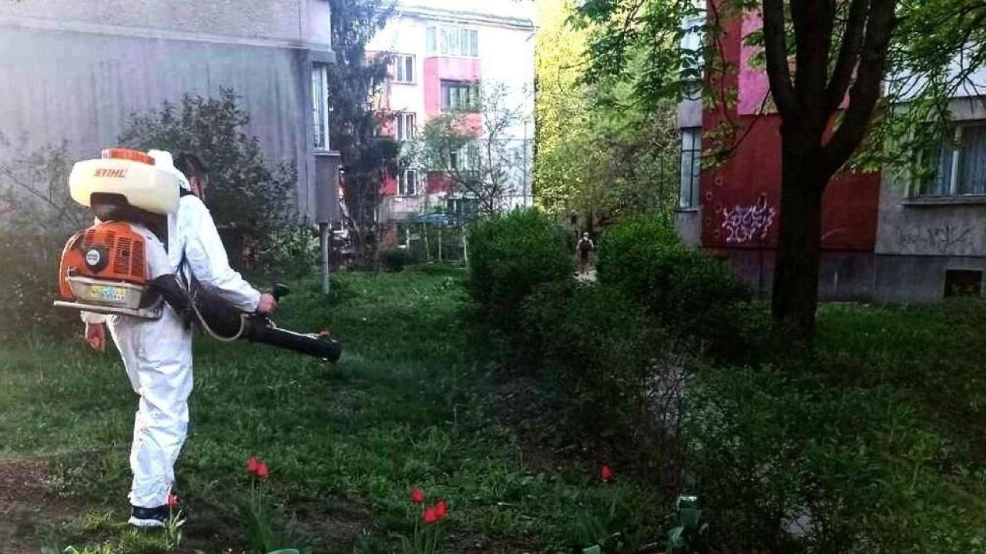 По рано ще започнат тази година обработките на Столична община срещу