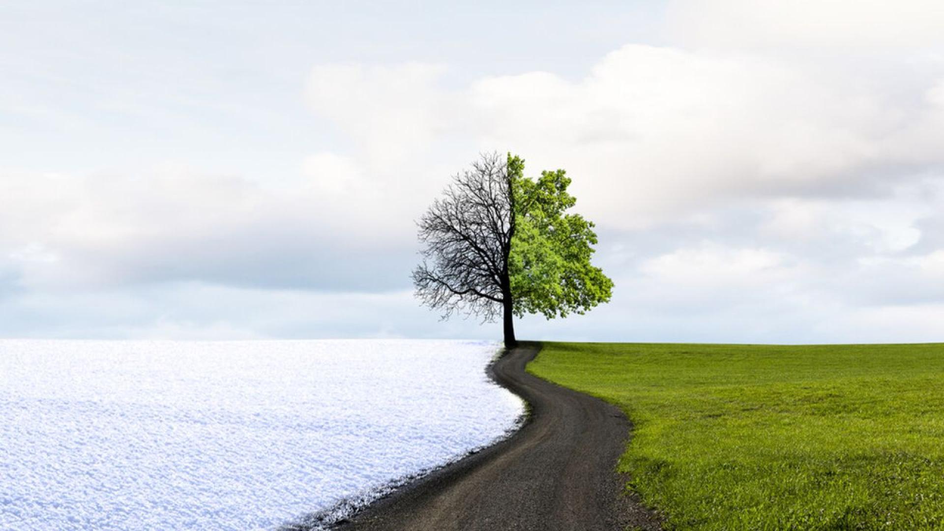 Днес от северозапад с умерен и силен вятър ще нахлува