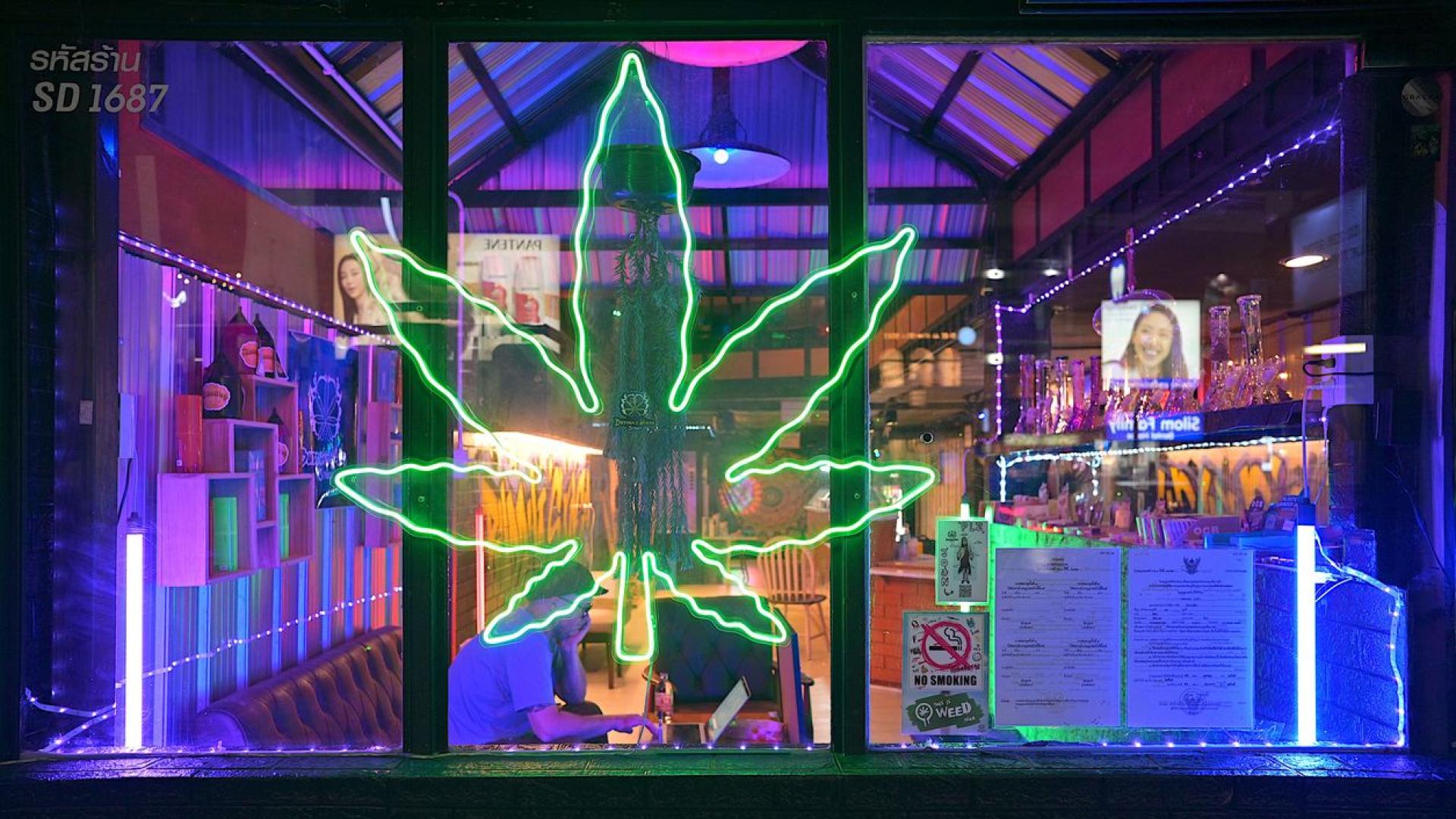 Легализирането на канабиса в Съединените щати започна като амбициозна инициатива