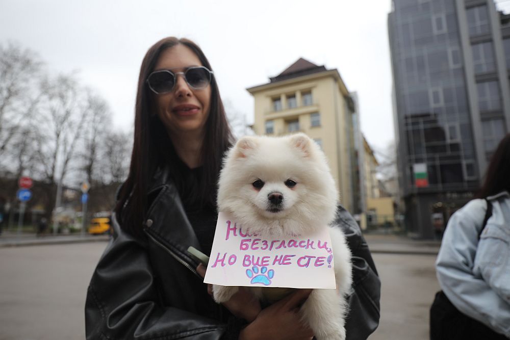 <p>Жители на Перник се събраха на протест срещу насилието над животни пред Съдебната палата в града.</p>