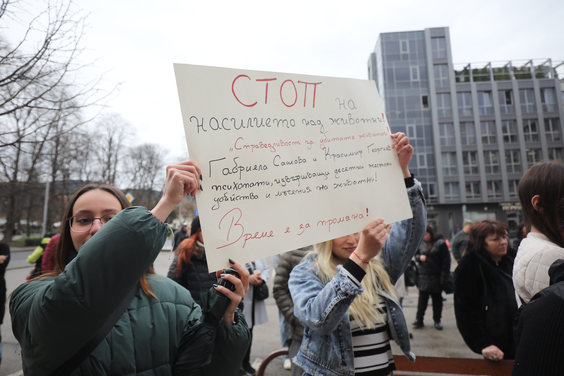 <p>Перник протест животни</p>