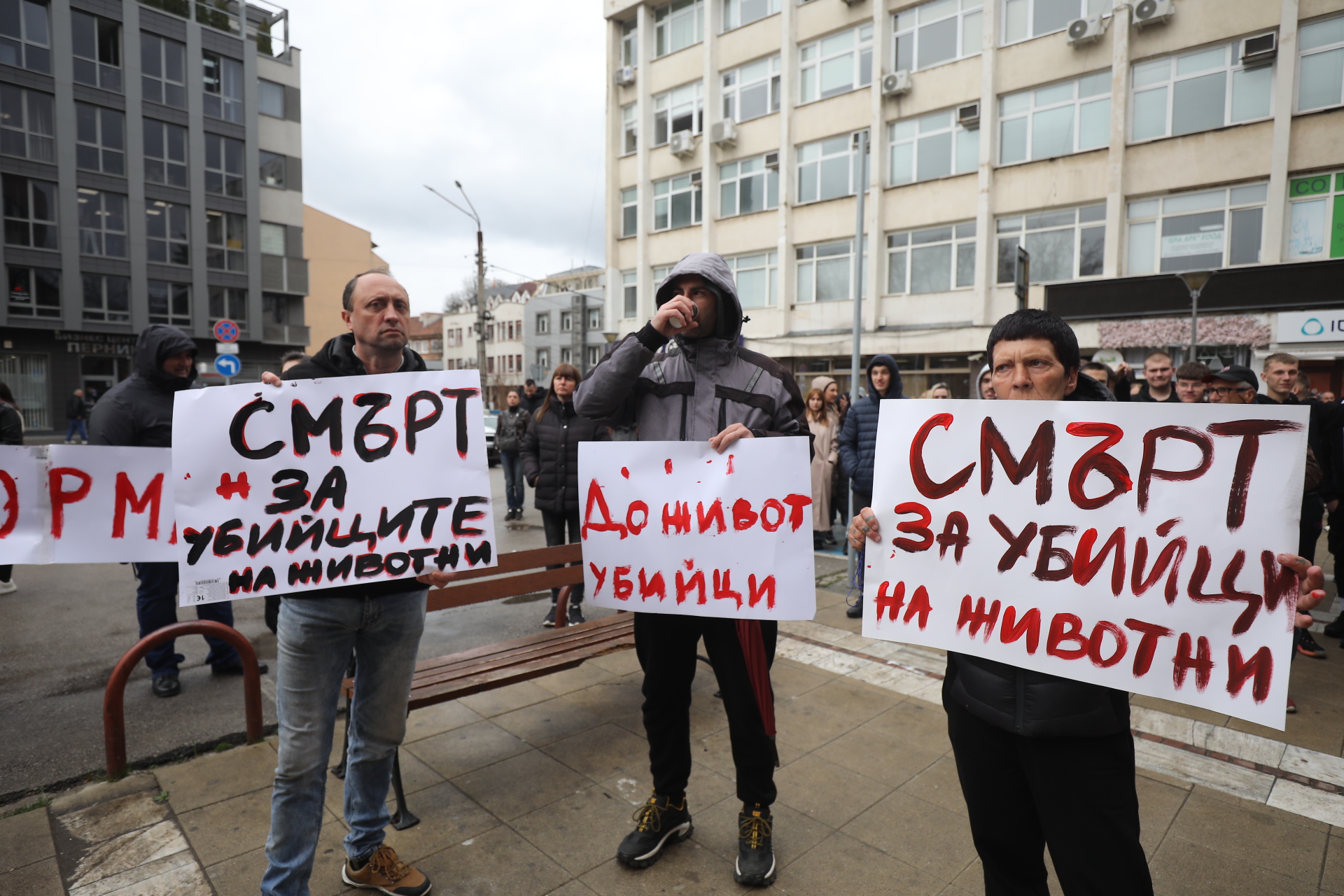 <p>Жители на Перник се събраха на протест срещу насилието над животни пред Съдебната палата в града.</p>