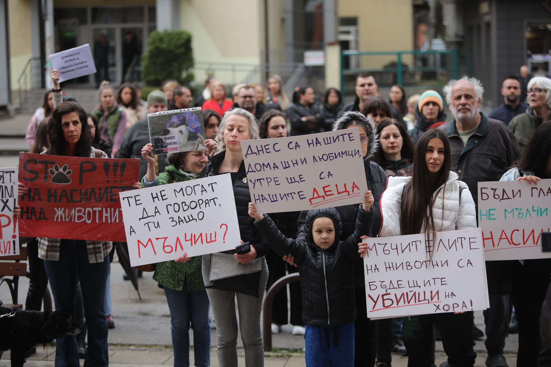 <p>Жители на Перник се събраха на протест срещу насилието над животни пред Съдебната палата в града.</p>