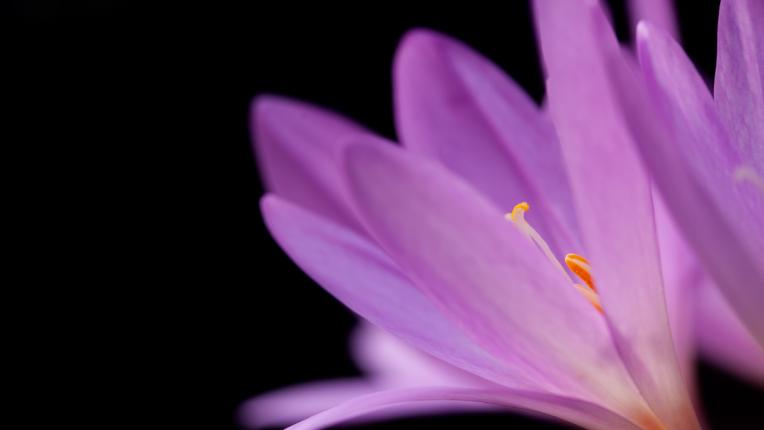  Дневен хороскоп за 25 август, понеделник 