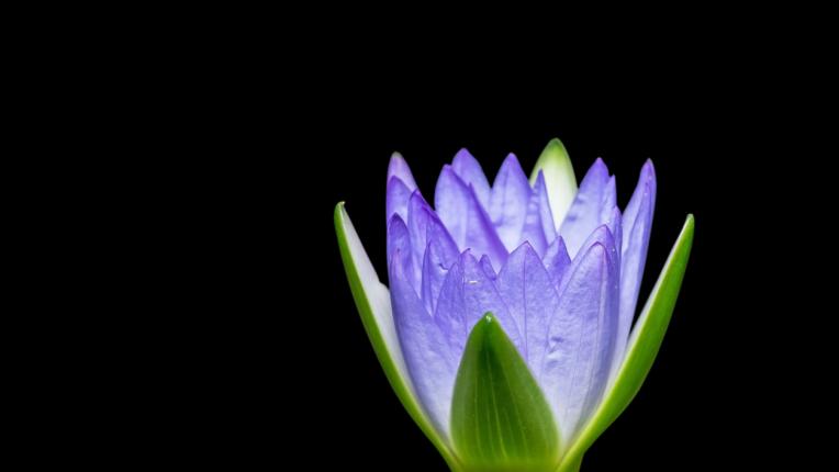  Дневен хороскоп за 25 август, понеделник 