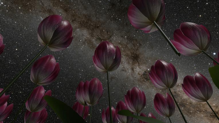  Дневен хороскоп за 29 март, събота 