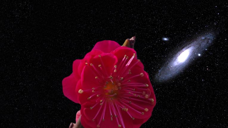  Дневен хороскоп за 27 март, четвъртък 