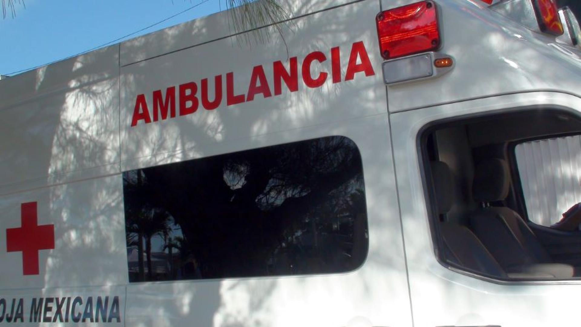 Загинаха 12 души а четирима бяха ранени при пътнотранспортно произшествие