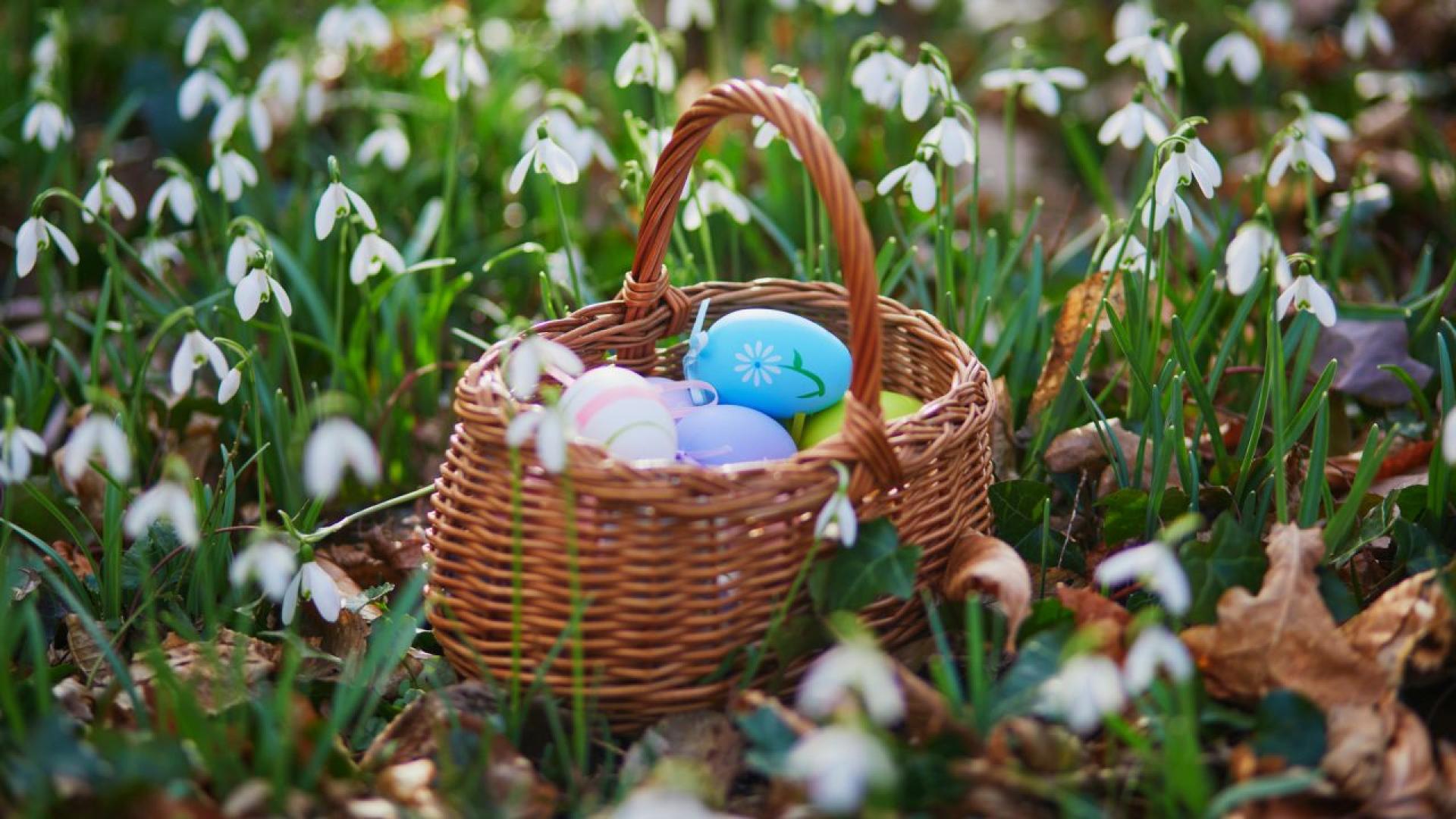 Тази година през април се очаква средната месечна температура да