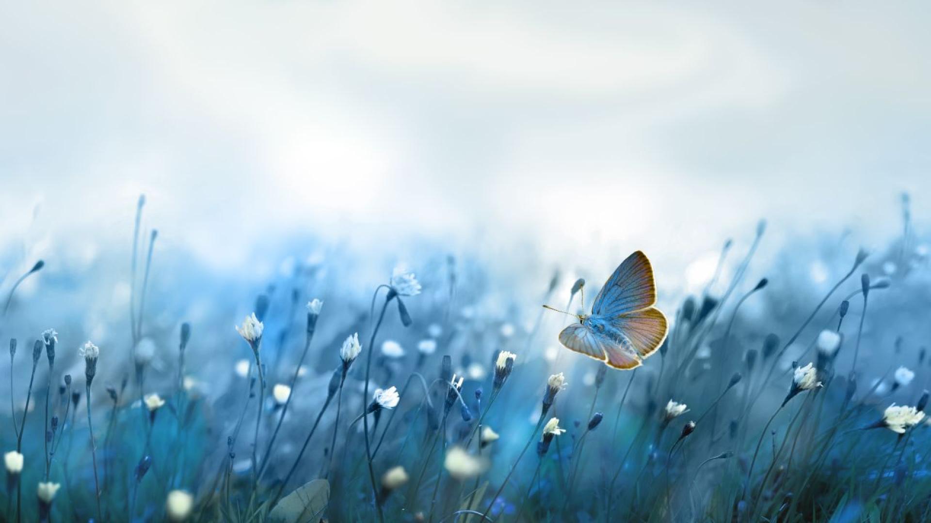 През следващото денонощие над страната ще преобладава облачно време Временни