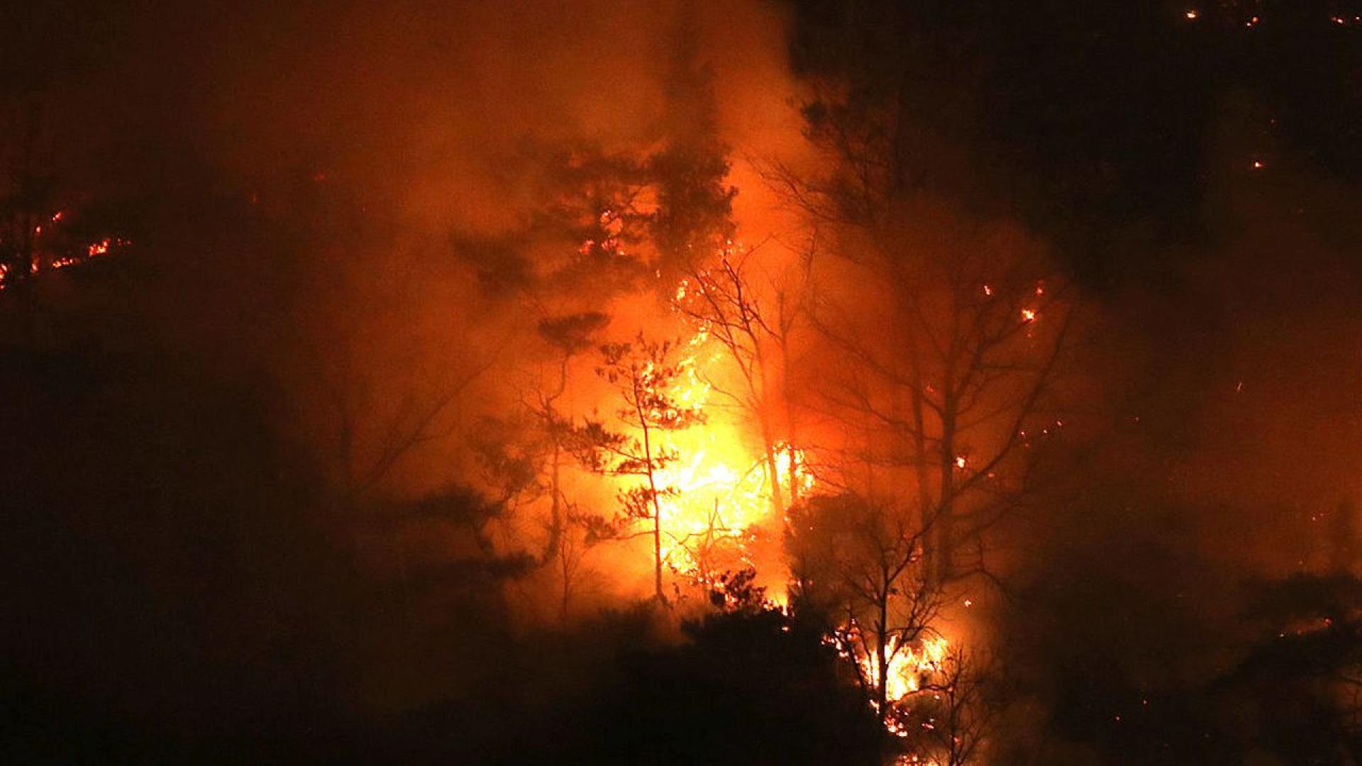 Южнокореец който се е грижил за семеен гроб е заподозрян