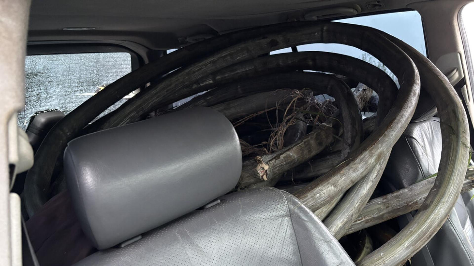 Вчера около 21 часа в Шумен са асечени два Мерцедес а