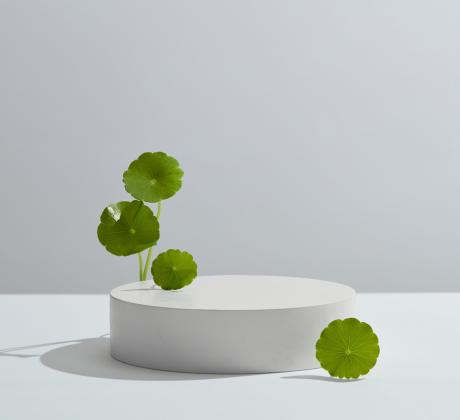 Може и да си мислиш че току що си открила нова