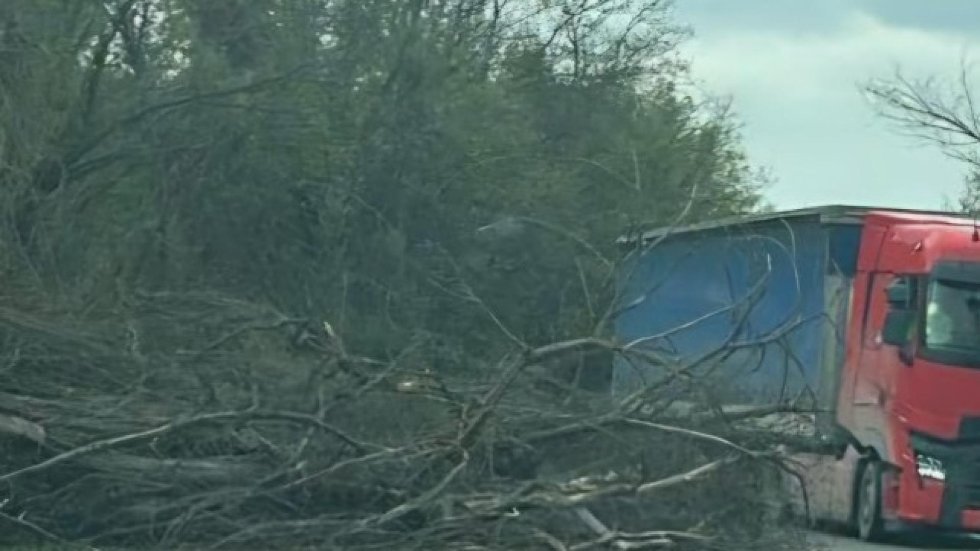 До 122 километра в час е стигнала скоростта на вятъра