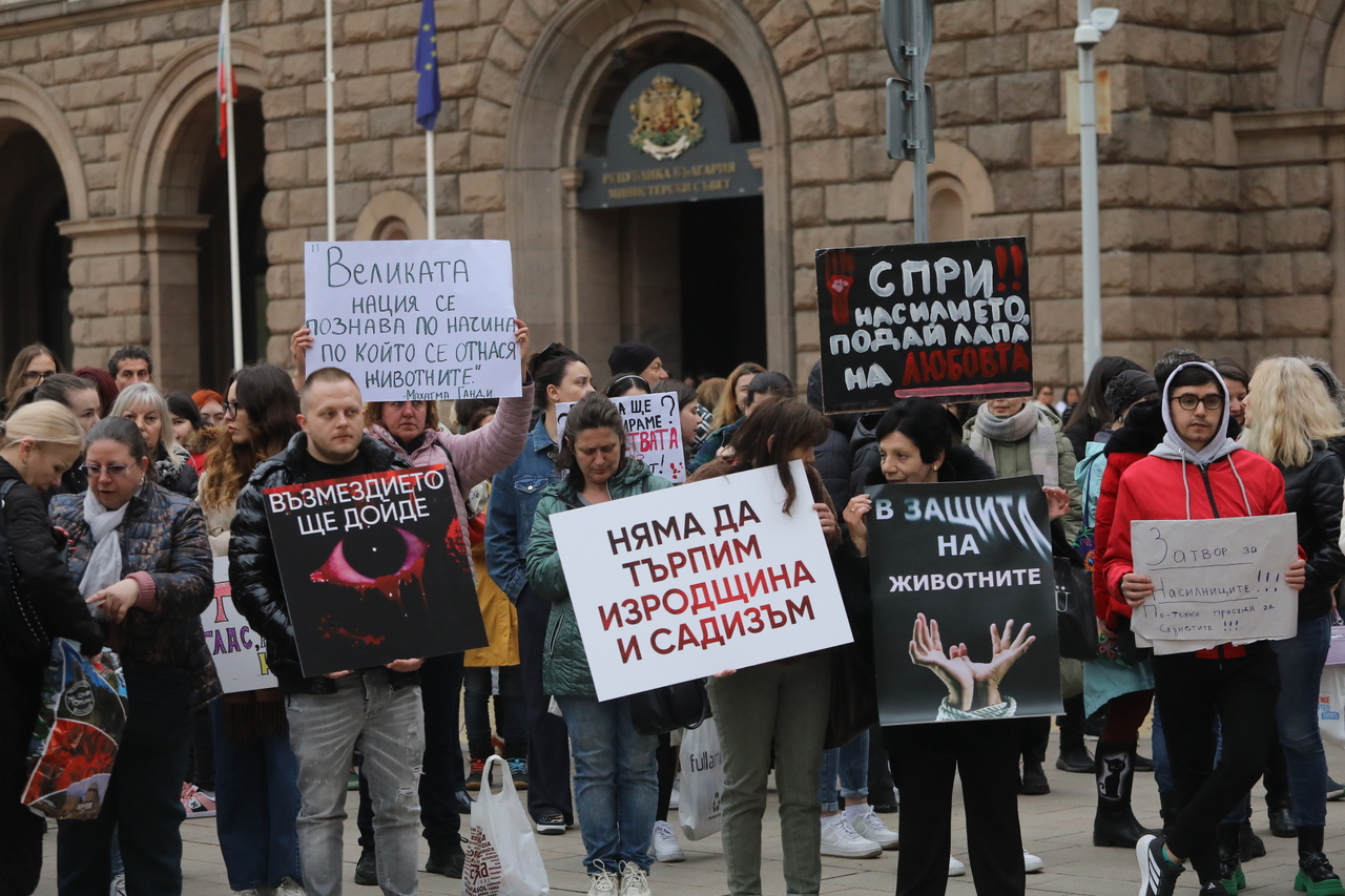 <p>Протест срещу насилието над животни събра десетки души пред сградата на Народното събрание.</p>