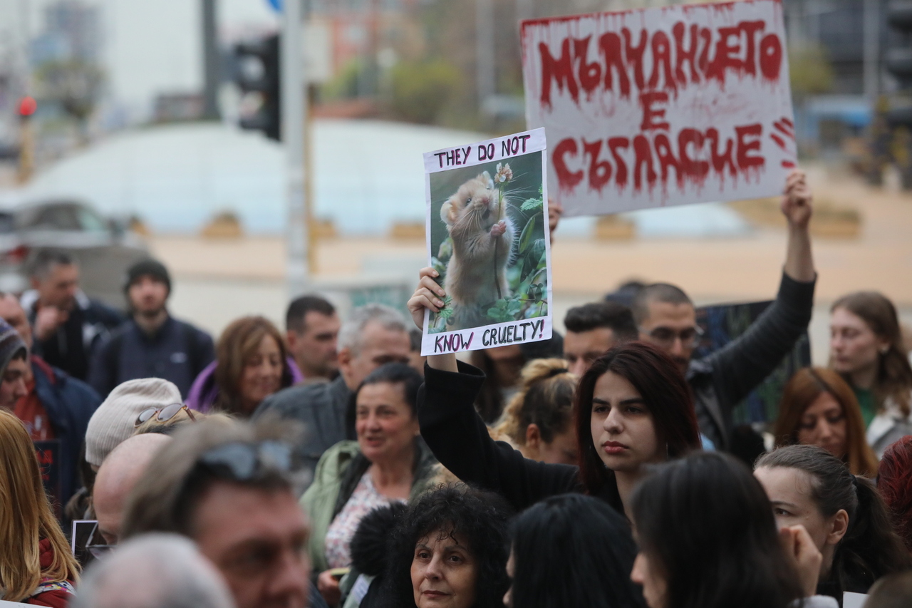 <p>Протест срещу насилието над животни събра десетки души пред сградата на Народното събрание.</p>