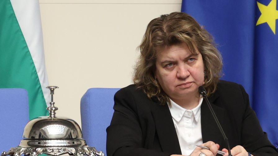 <p>Киселова: Към момента в НС няма внесено искане за референдум</p>
