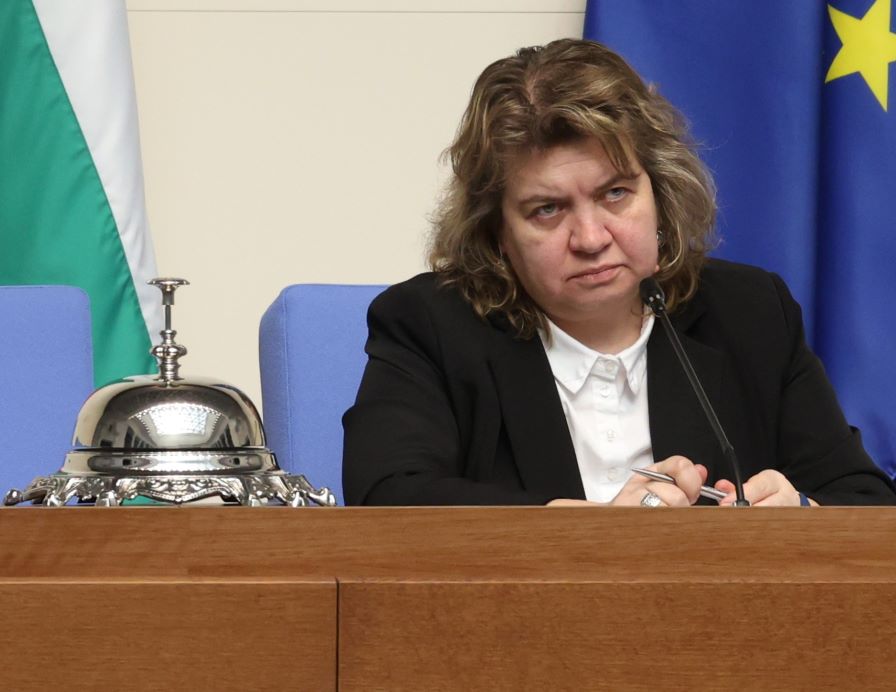 Наталия Киселова: Към момента в НС няма внесено искане за референдум