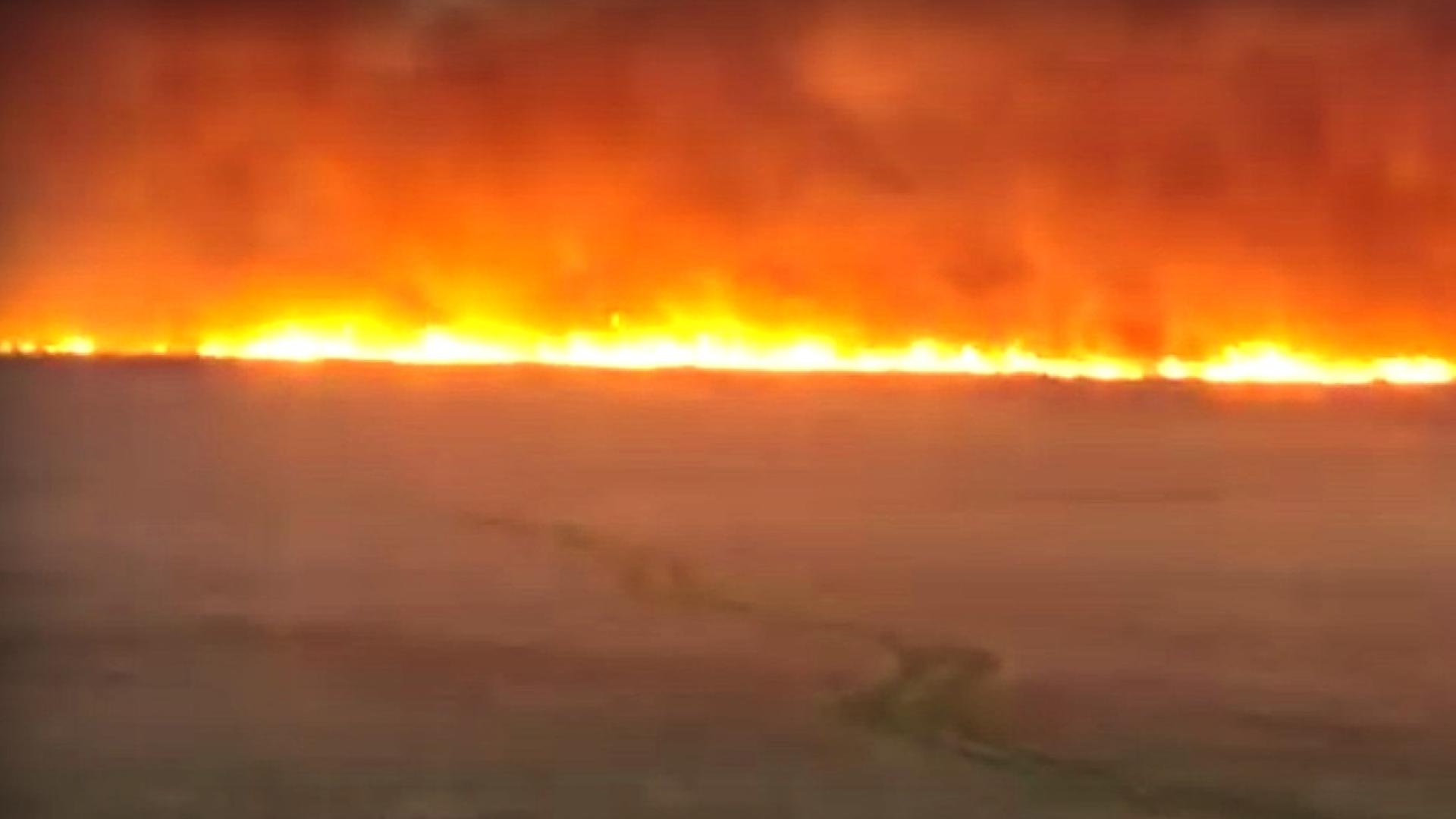 Пожар е избухнал в района на Алдомировското блато в землището