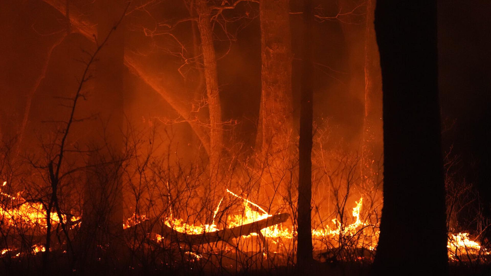 Израел обяви извънредно положение заради горските пожари които предизвикаха евакуацията