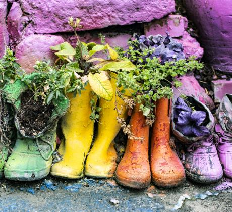   Май и юни Меки срички нежни имена за двата най добри