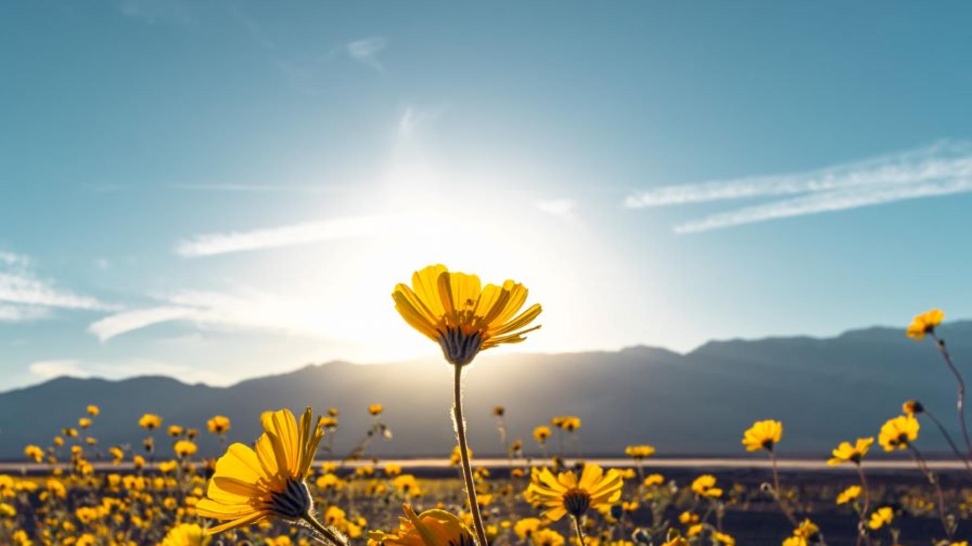 В неделя ще преобладава слънчево време  Около и след обяд над