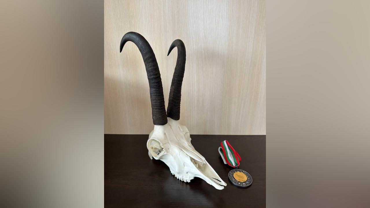 Ловен рекорд при дивата коза