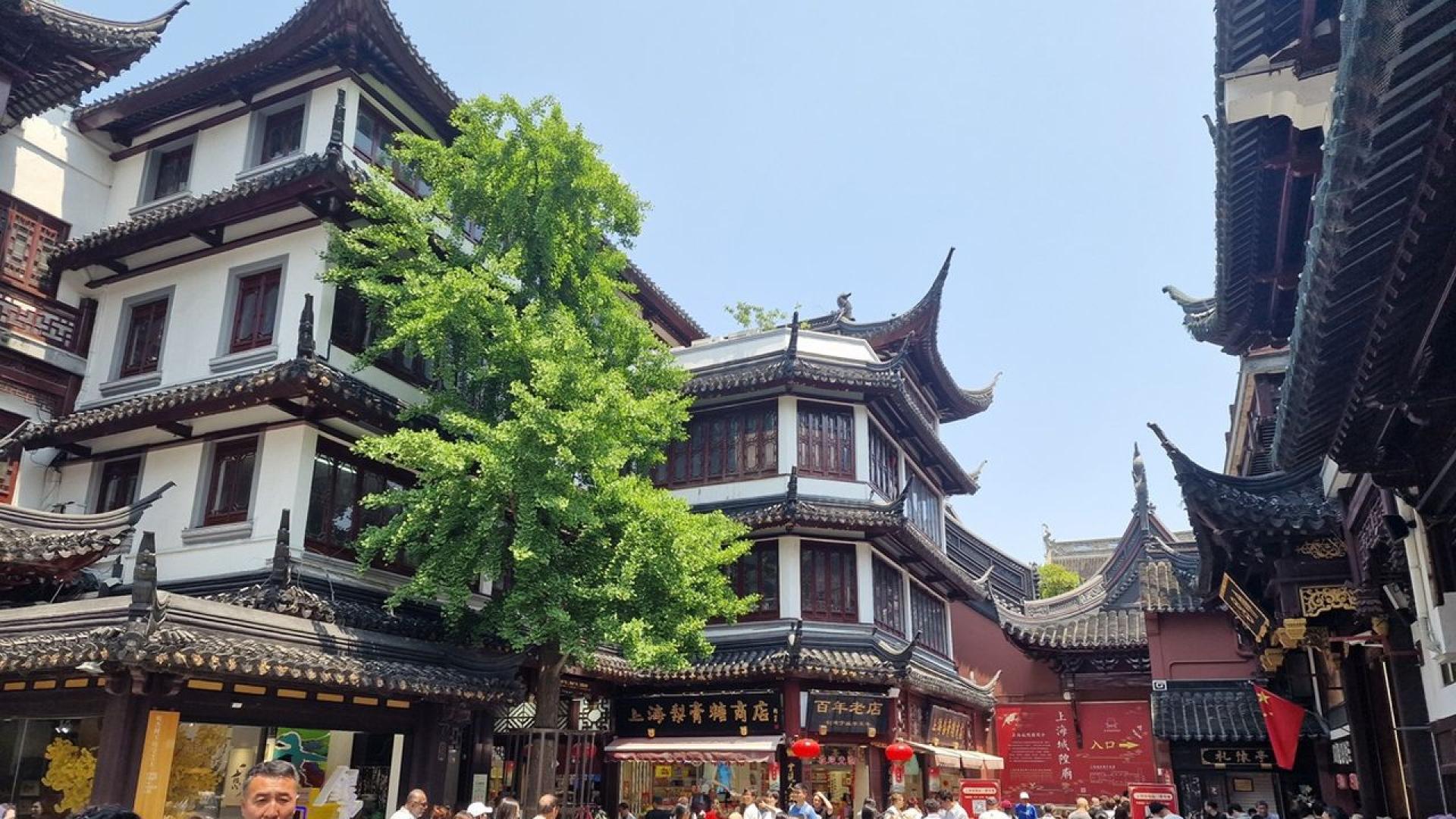 Преди 1000 години Шанхай е малко селце с 10 000