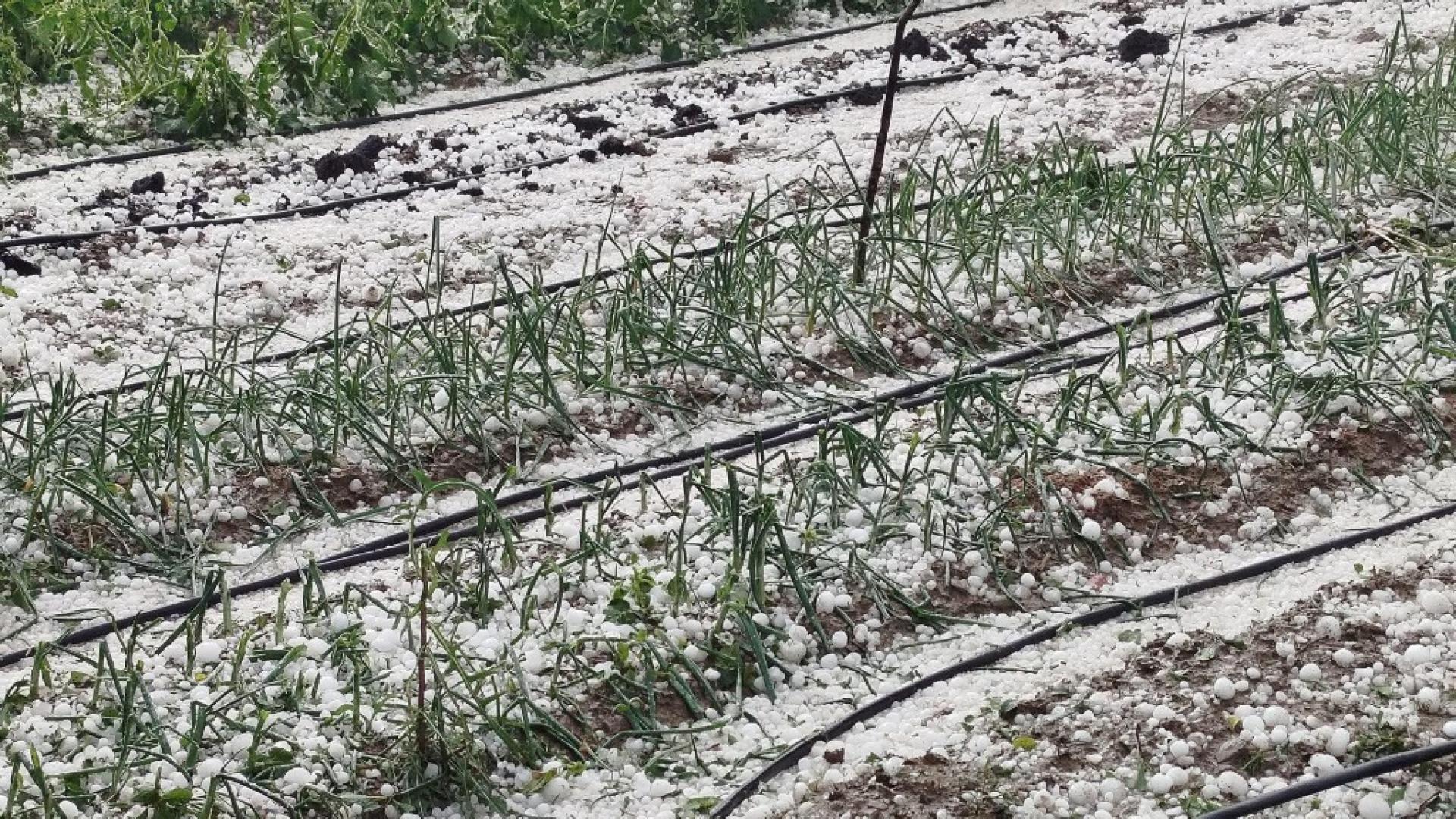Заради проливни дъждове и градушки в някои части на страната